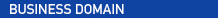 BUSINESS DOMAIN