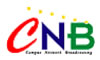 (株)CNBroadcasting